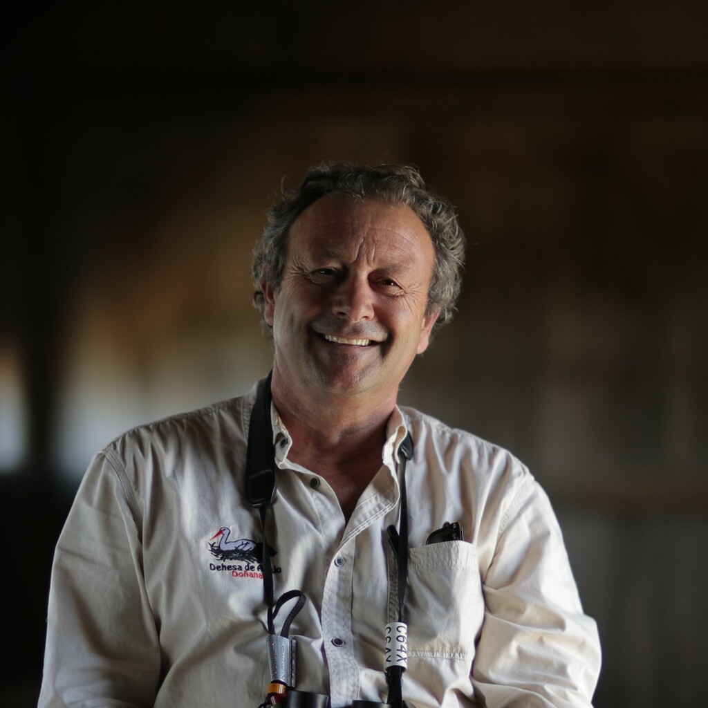 Beltrán de Ceballos